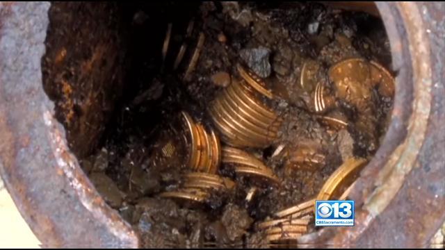 Rare Gold Coins Found In Backyard On Display Before ...