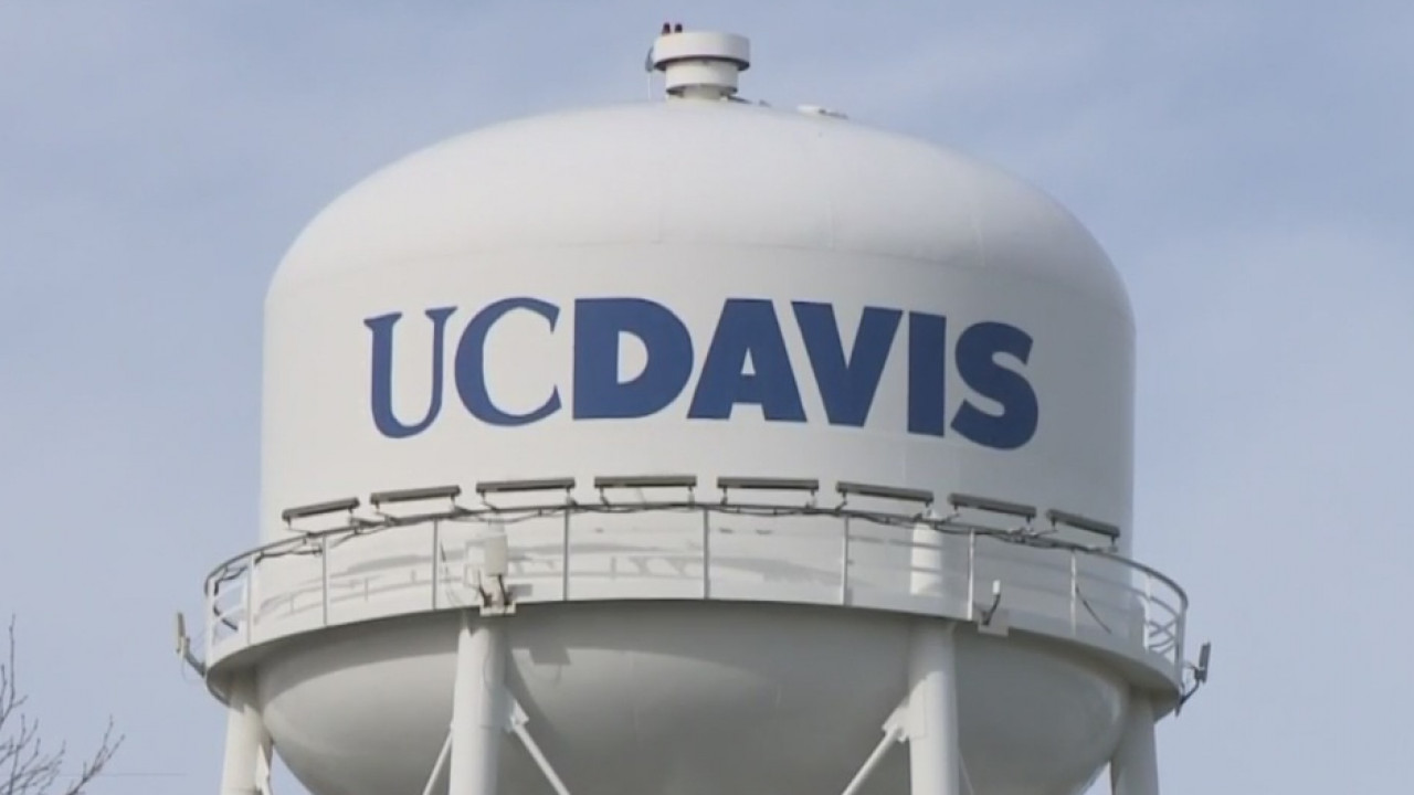 UC Davis Baseball Program Suspended For Alleged Misconduct Allowed To Resume Team Activities