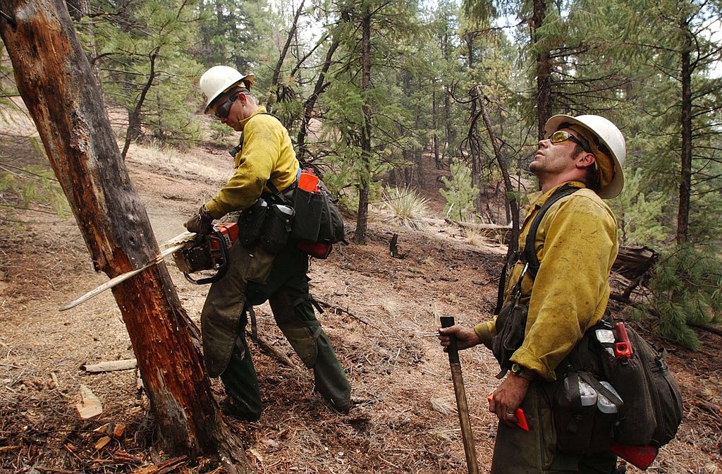 Nine National Forests In California Temporarily Closing To Minimize Fire Risk